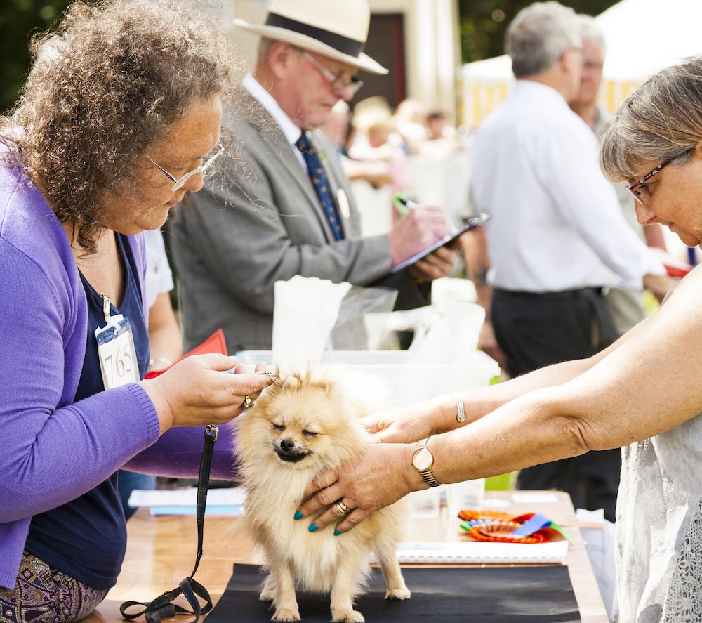 Question of the Week